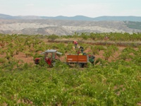 GALER&Iacute;A FOTOGR&Aacute;FICA